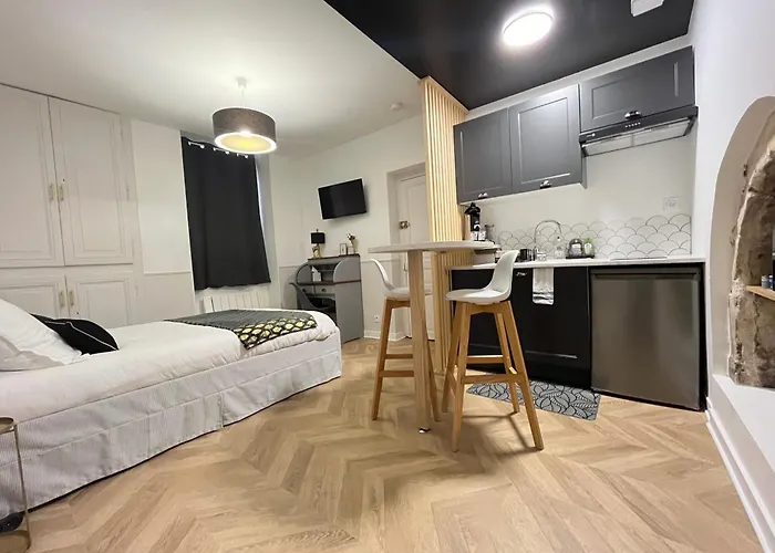Le Studio Haslay Seraucourt En Plein Coeur De Ville De Bourges - Charme De L Ancien Et Confort Contemporain